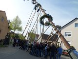 Maibaum_2016 (101).JPG